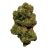 amnesia haze fleur cbd premium genève