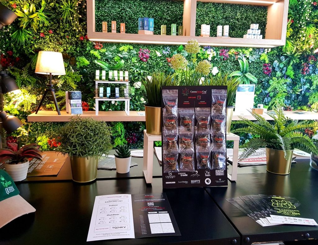 Intérieur de la boutique CBD KahnaQueen à Genève avec présentation de produits et kit CannaSwissCup dans un espace végétal moderne.