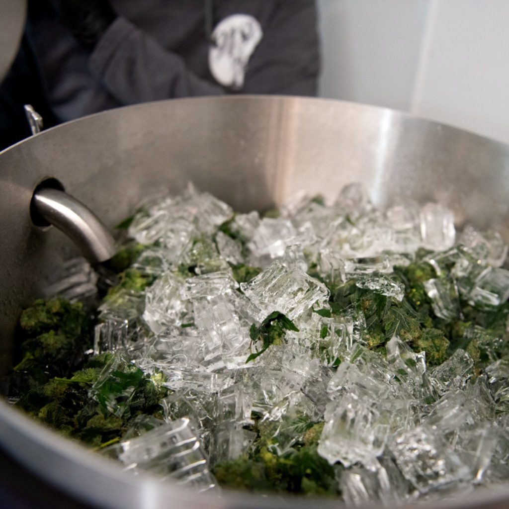 Extraction bubble hash à l’eau glacée – trichomes cannabis CBD méthode ice water hash guide 2026 Genève