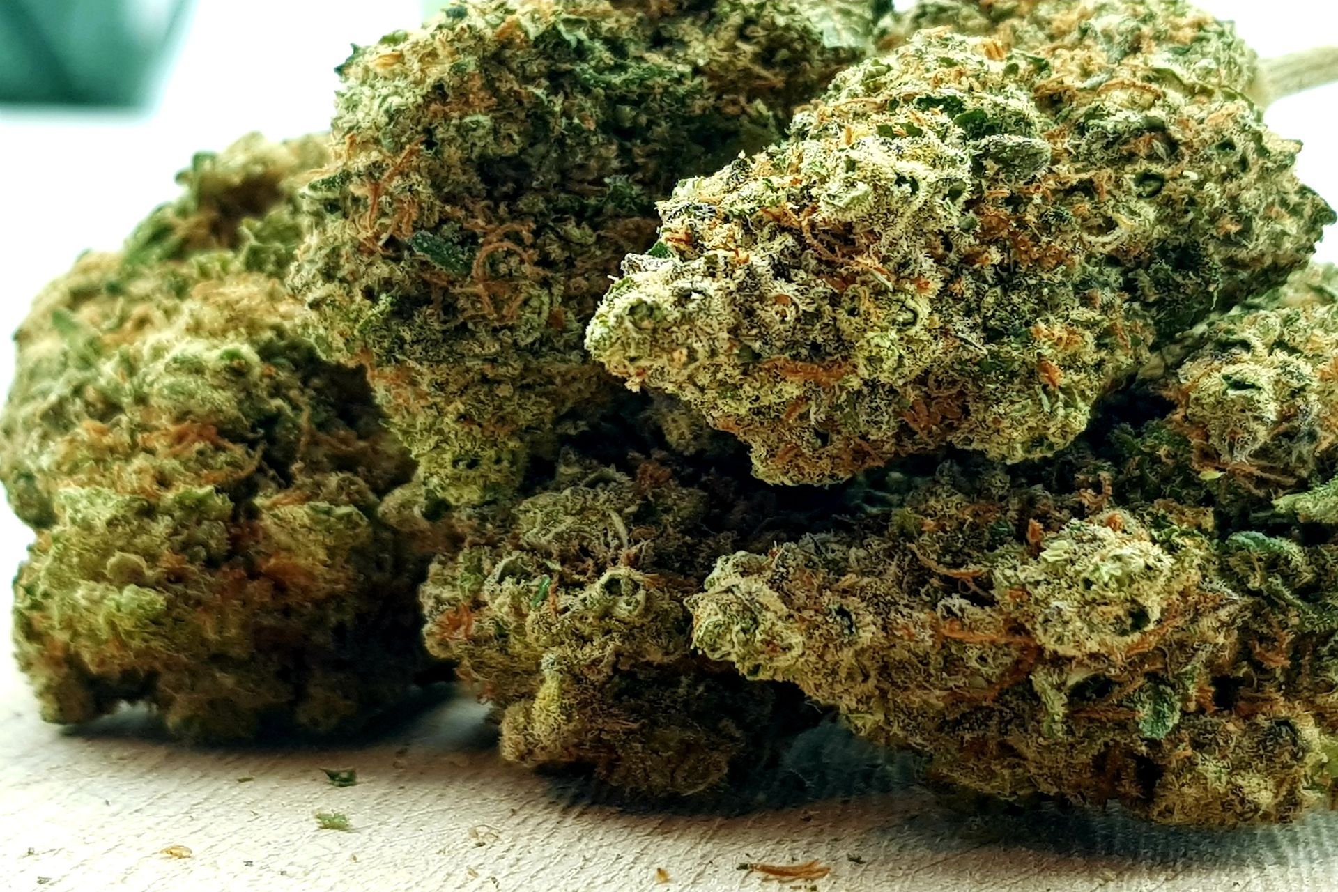 Têtes de cannabis CBD en gros plan – fleurs riches en cannabinoïdes et terpènes