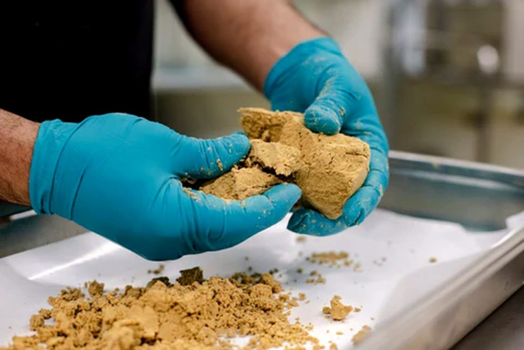 Extraction dry sift hash CBD à sec – séparation des trichomes cannabis guide H CBD Genève 2026