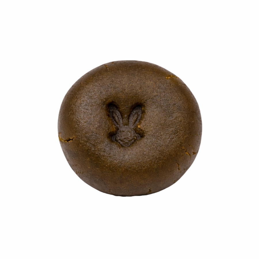 file_00000000c2287246ae0c834e20f9dbc5