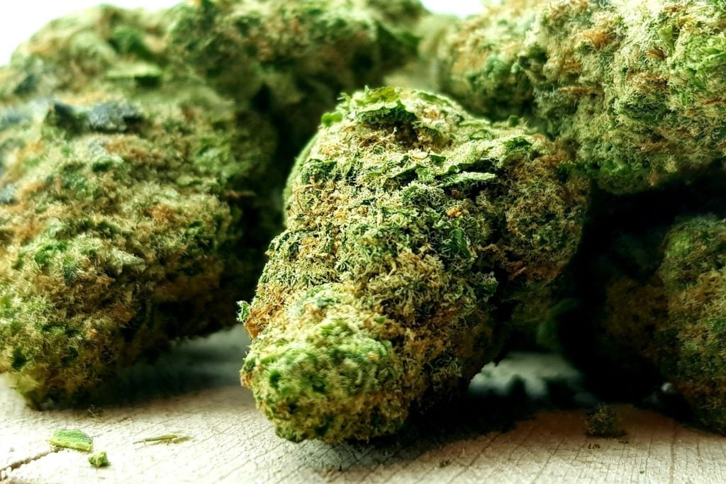 Fleurs CBD premium en macro montrant les trichomes – fleurs de cannabis CBD disponibles à Genève en Suisse-kahnaqueen