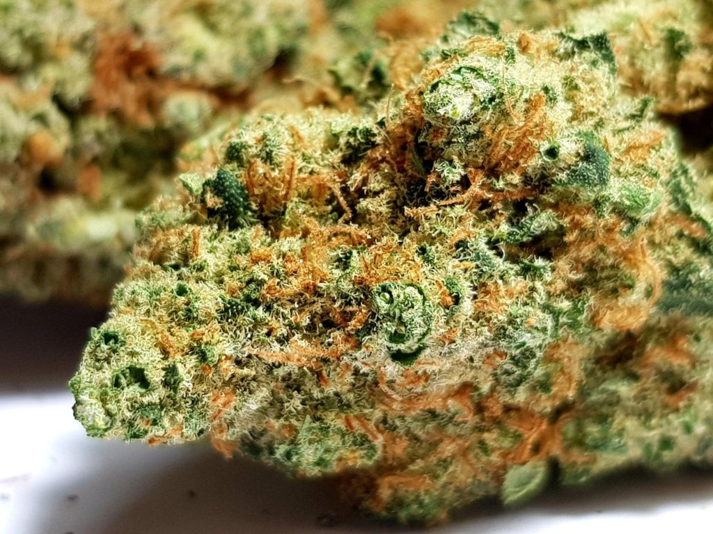 Fleur CBD premium riche en trichomes – macro d’une fleur de cannabis légal disponible à kahnaqueen Genève en Suisse