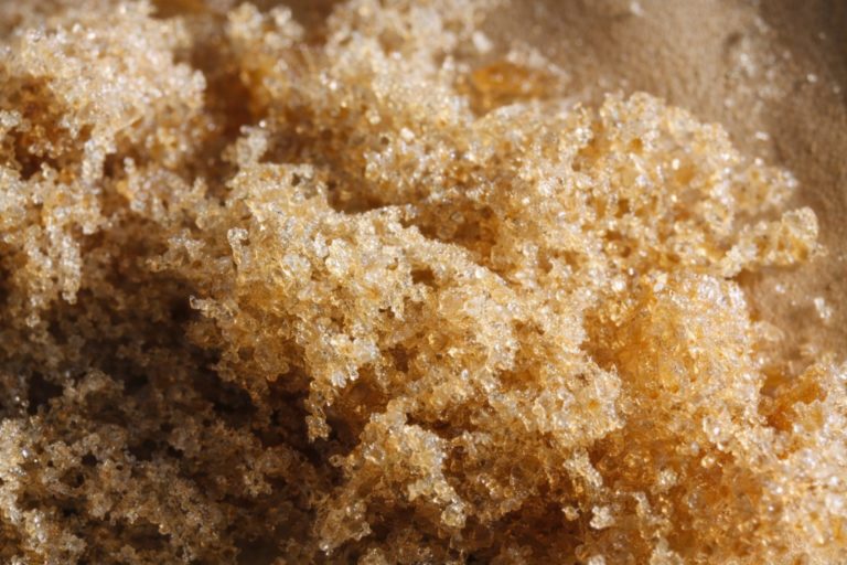 Macro de pollen CBD riche en trichomes – résine hash CBD Genève guide 2026