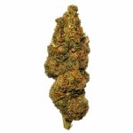 fleur CBD Jungle Cookies Genève gros plan tête résineuse
