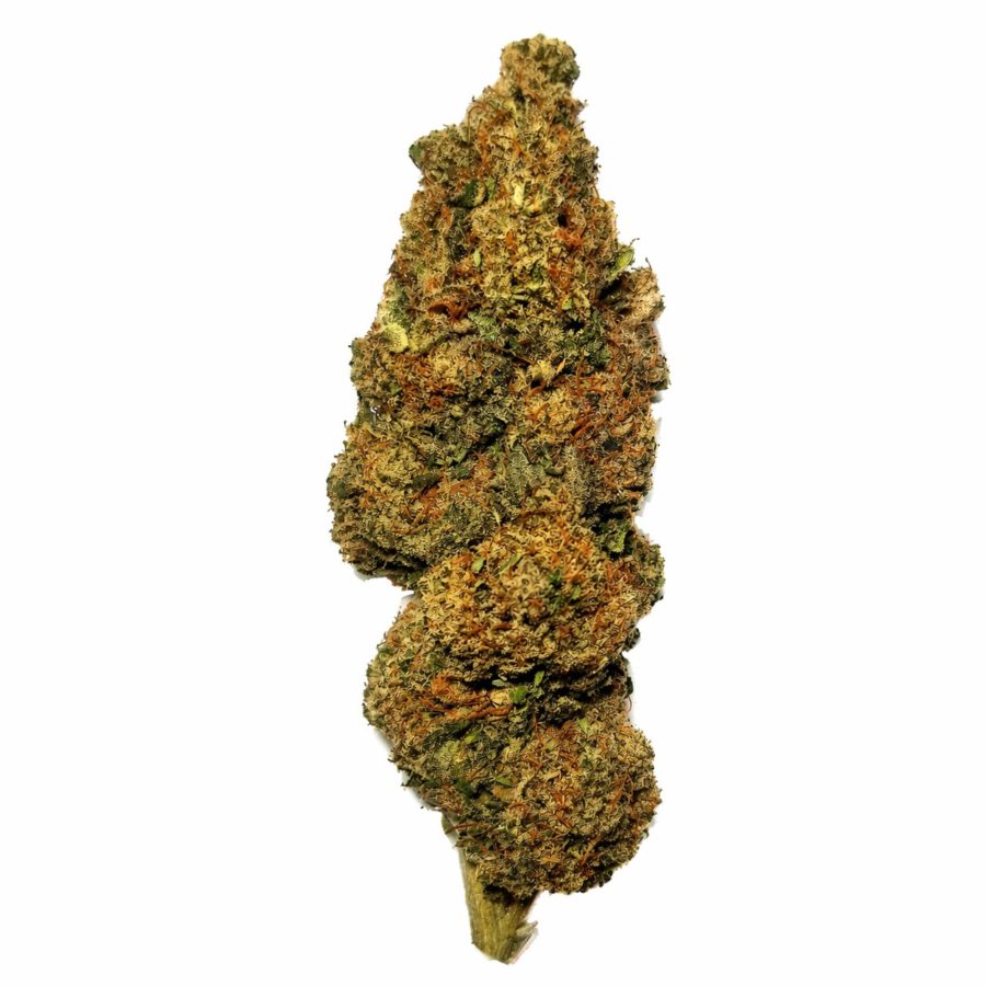 fleur CBD Jungle Cookies Genève gros plan tête résineuse