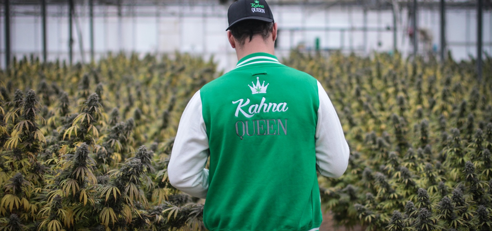 Culture indoor de plantes CBD avec opérateur KahnaQueen à Genève Suisse, cannabis légal premium