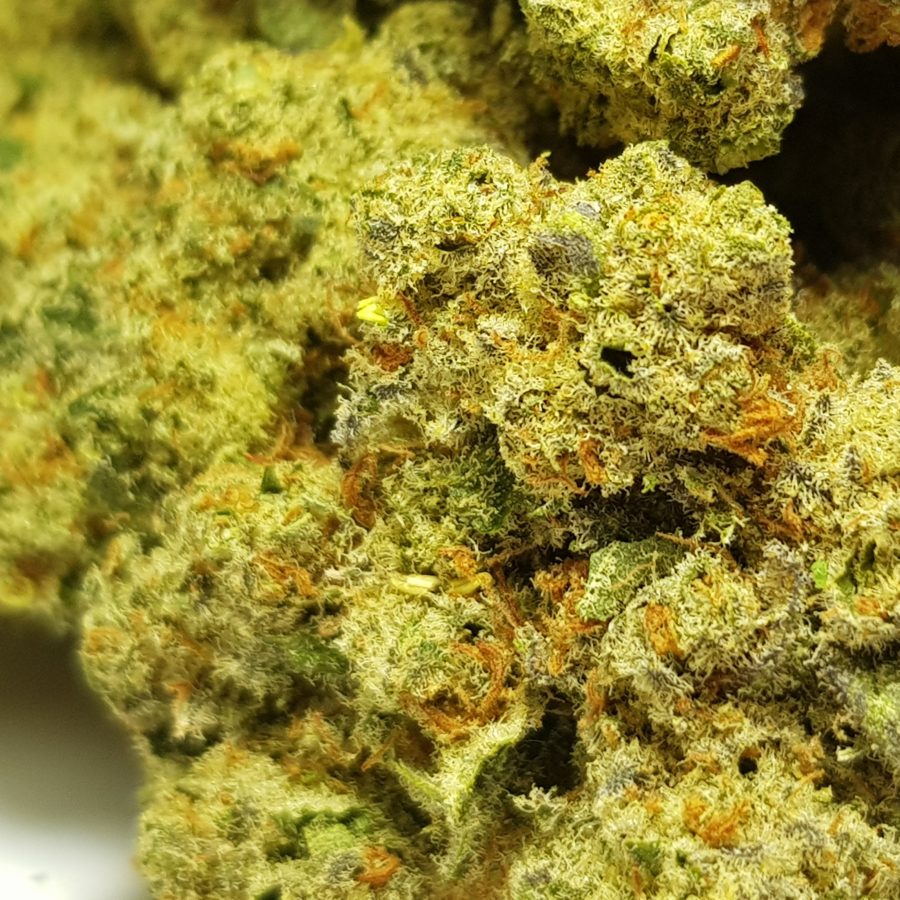 orange ice close