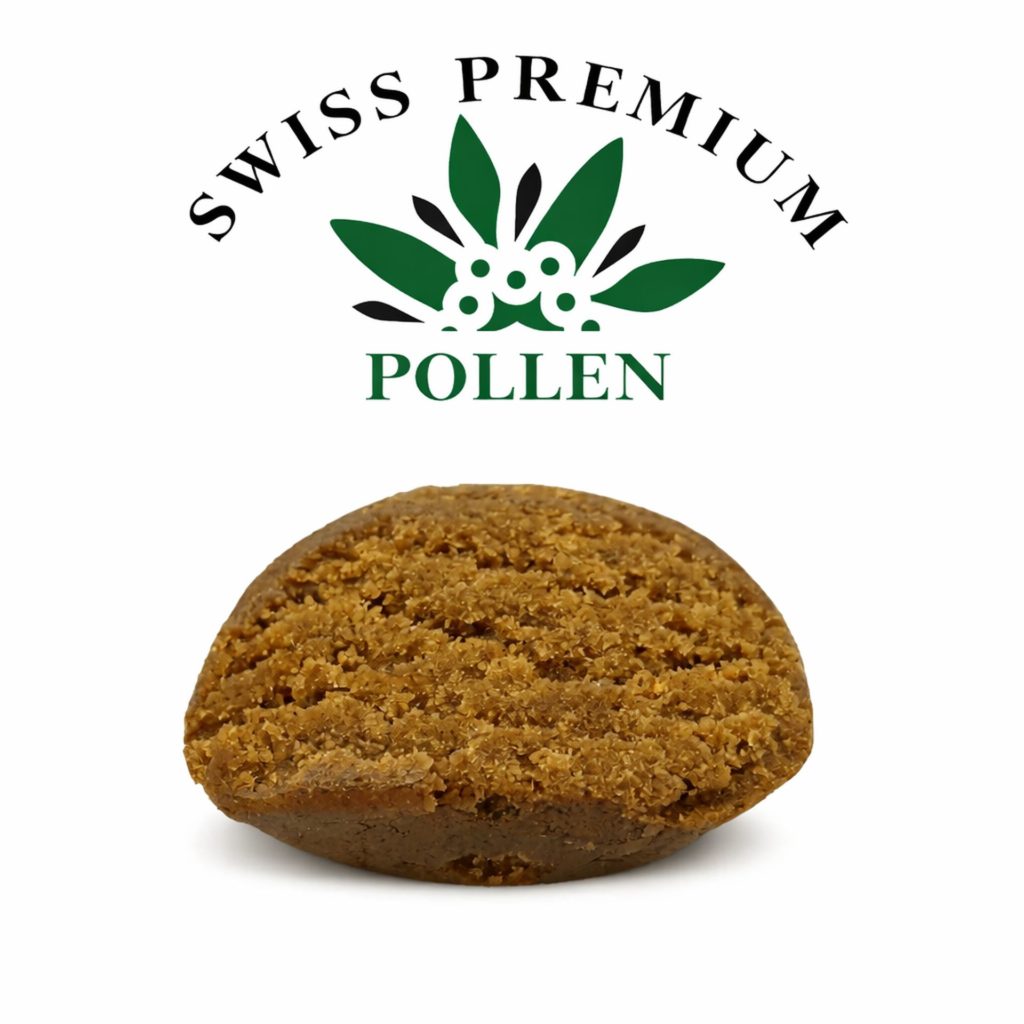 Swiss Premium CBD pollen – résine de cannabis CBD riche en trichomes
