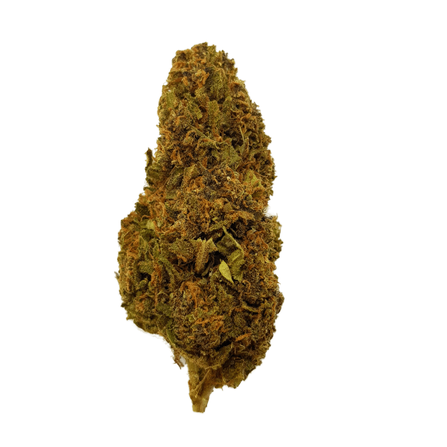 purple haze GH det final