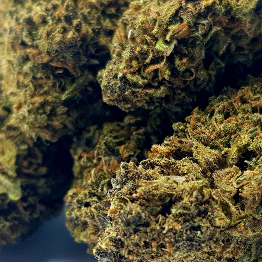 purple haze close finale