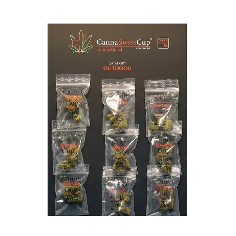 Jury Box Weed Cannatrade 2026 fleurs CBD Genève Suisse Kahna Queen sélection outdoor premium