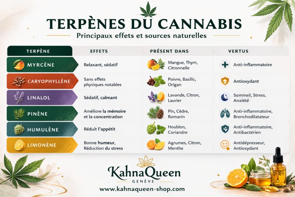 Terpènes du cannabis – principaux arômes et effets myrcène limonène pinène linalol guide CBD Genève